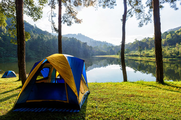 tourist tent in forest camp