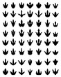 © KatarinaF - Black footprints of dinosaurs on a white background
