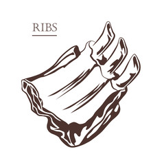 Wall Mural - Meat food. Ribs isolated on white background. Cut of beef on the bone. Black and white hand drawn vector illustration. Icon, emblem, logo element.