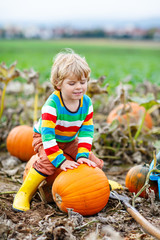 adorable little kid boy picking pumpkins on halloween pumpkin patch. child playing in field of squas