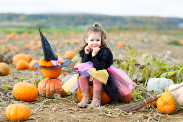 adorable little girl wearing halloween witch costume having fun on pumpkin patch farm. traditional f