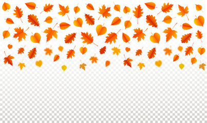 Wall Mural - Autumn background with leaves.