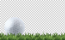 Golf Ball On Grass