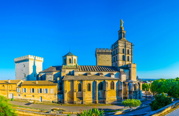 Wall Mural - View of Palais de Papes and the cathedral in Avignon, France