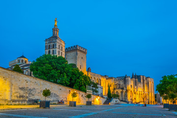 Wall Mural - Sunset view of Palais de Papes and the cathedral in Avignon, France