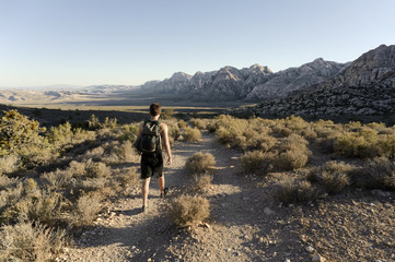 hiking with a view