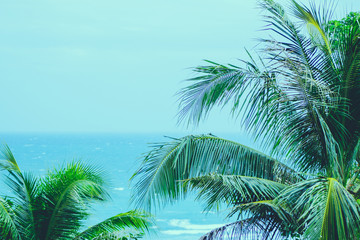 Wall Mural - Coconut palm trees with blue calm sea, summer