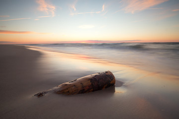 Poster - Driftwood on the beach at sunset photographed with long exposure