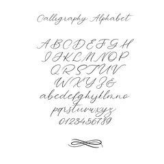 Wall Mural - Hand drawn typeface set isolated on white. Brush painted characters: lowercase and uppercase. Vector logo font. Typography alphabet for your designs: logo, typeface, card, wedding invitation. Isolated