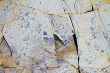 Grey  And Orange Stone Surface Texture With Cracks. Sea Limestone.