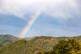 Fototapeta Tęcza - A multicolored bright rainbow on the blue sky and high Altai mountains, covered with green grass and forest on a bright sunny day