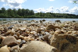 Fototapeta Łazienka - Stones and pebbles on the shore of Whitlingham Broad, Norwich, England, UK