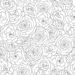 Vector seamless pattern with rose flowers line art on the white background. Hand drawn floral repeat ornament of blossoms in sketch style. Usable for coloring books.