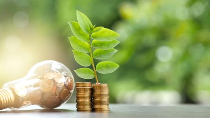 Wall Mural - energy saving. stacks of coins growing in light bulb and tree growing on stacks of coins and motion 