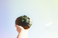 Ripe Squash In The Hand On Blue Sky Background