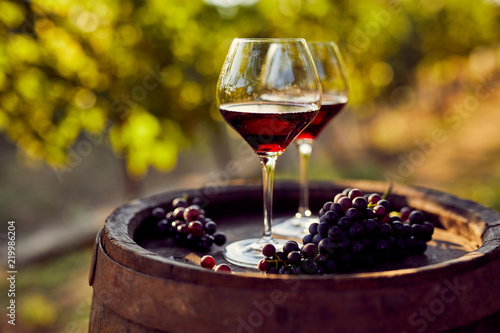 Cuadros en Lienzo Two glasses of red wine in the vineyard