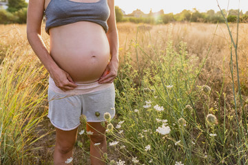 Wall Mural - Belly of pregnant woman in the countryside