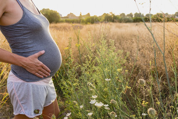 Wall Mural - Belly of pregnant woman in the countryside