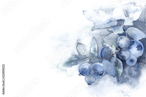Fotografie, Obraz soft blue watercolor ombre background texture with blueberries