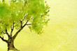 green ombre watercolor landscape background texture with tree