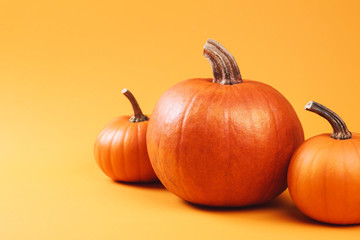 Group of pumpkins on yellow background