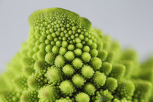 A Macro View Of A Romanesco Broccoli Flower Bud.