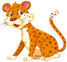 A Leopard On White Background