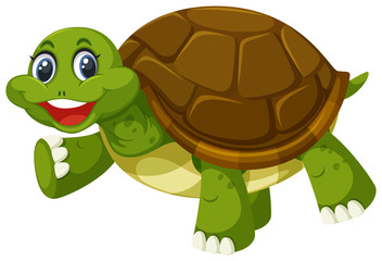 Poster - A turtle on white background