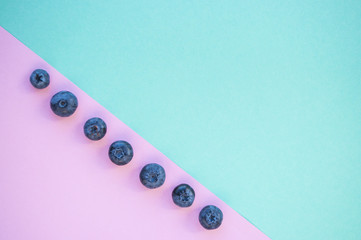 Canvas Print - Row of delicious freshly picked bluberry on blue and pink background with copyspace. Healthy food concept.