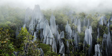 Pinnacles In Mulu National Parc In Malaysia