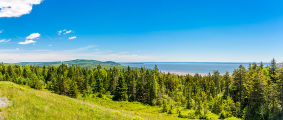 Wall Mural - Panoramic view from the outlook near Bay of Fundy in Canada