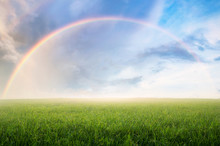 Rainbow With Meadow.