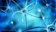 nervous network and nerve cells in blue background