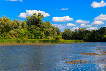 Summer landscape with beautiful river, green trees and blue sky