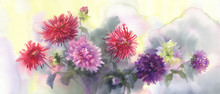 A Bouquet Of Color Dahlias Watercolor Background