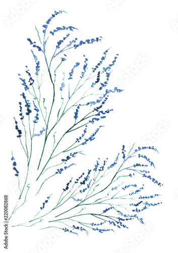 Watercolor Greeting Card Frame Invitation Drawing Blue Flower Branch Lavender Wildflowers Wild Grass Feather Element On A White Background Vintage Art Illustration Buy This Stock Illustration And Explore Similar Illustrations At