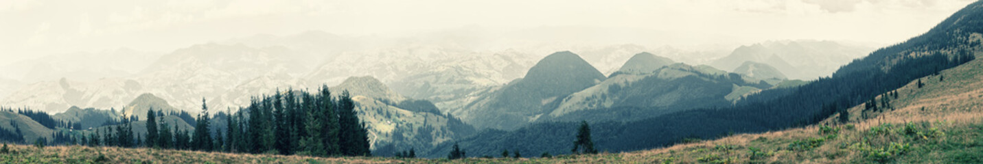 Wall Mural - view from the plain to the mountains