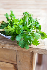 Poster - Fresh coriander leaves