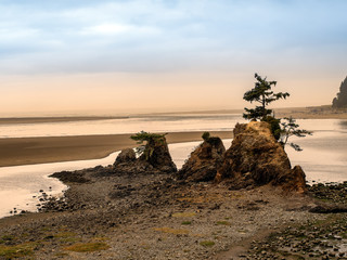 Wall Mural - Landscape photograph with interesting rock formations a trees.