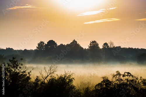 Nascer Do Sol Em Campo Com Nevoa Buy This Stock Photo And Explore Similar Images At Adobe Stock Adobe Stock