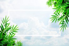 Green Bamboo Leaves Frame On Blue Sky Background. - Space For Your Text Design.