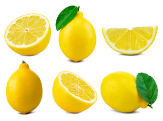 Poster - lemon fruit leaf