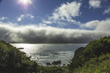 Wall Mural - A wall of fog with sun behind it along the Oregon coast