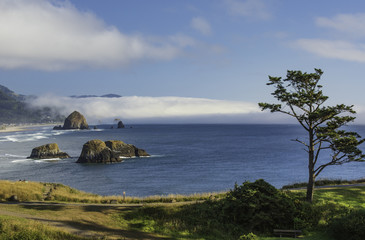 Wall Mural - Haystack Rock with fog layer behind it framed from viewpoint