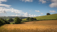 Rural English Countryside