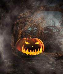 Wall Mural - Halloween pumpkin in creepy forest at night,3d illustration for halloween concept background