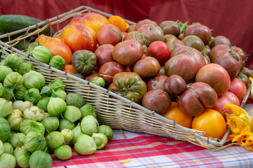 Fresh Organic Tomatoes