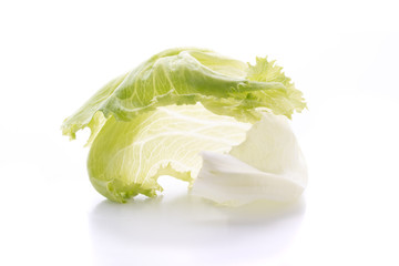 Lettuce on white background