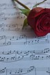 rose on sheet music