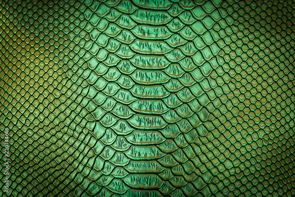 Snake Texture Normal close up of snake skin texture Stock Photo | Adobe Stock